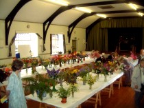 Flower Show in the Large Hall